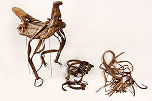 Saddle and harness. Parts of the harness: leather straps, iron bridoons and halter from belts with brass ornaments.