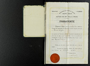 Stevo Seljan's passport